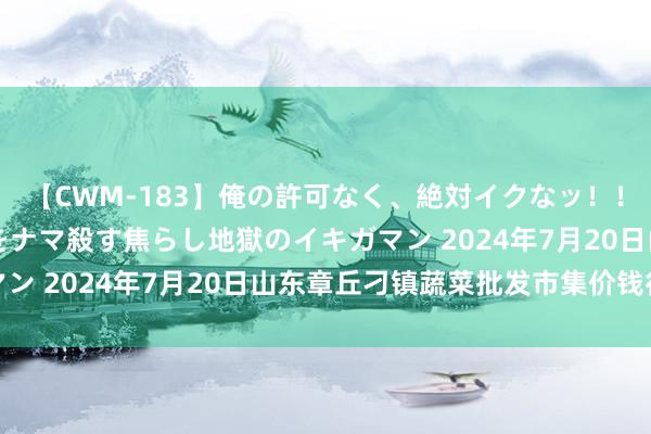 【CWM-183】俺の許可なく、絶対イクなッ！！！！！ 2 早漏オンナをナマ殺す焦らし地獄のイキガマン 2024年7月20日山东章丘刁镇蔬菜批发市集价钱行情