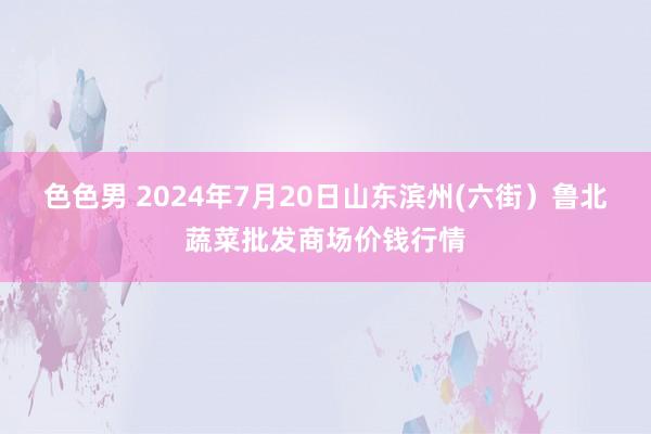 色色男 2024年7月20日山东滨州(六街）鲁北蔬菜批发商场价钱行情