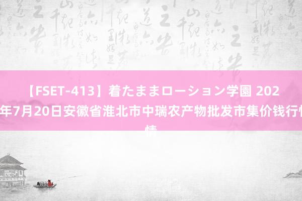 【FSET-413】着たままローション学園 2024年7月20日安徽省淮北市中瑞农产物批发市集价钱行情