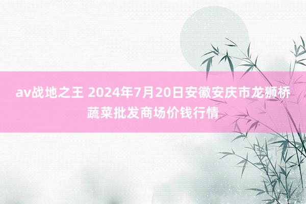 av战地之王 2024年7月20日安徽安庆市龙狮桥蔬菜批发商场价钱行情