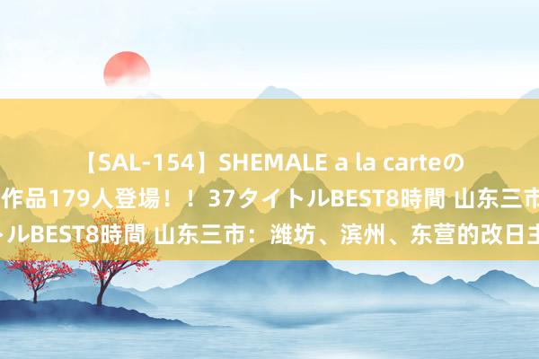 【SAL-154】SHEMALE a la carteの歴史 2 2011～2013 国内作品179人登場！！37タイトルBEST8時間 山东三市：潍坊、滨州、东营的改日主张来了