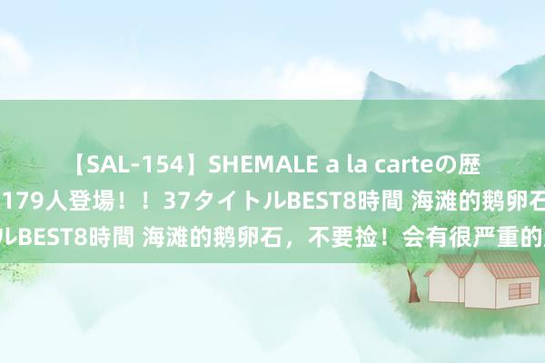 【SAL-154】SHEMALE a la carteの歴史 2 2011～2013 国内作品179人登場！！37タイトルBEST8時間 海滩的鹅卵石，不要捡！会有很严重的成果！