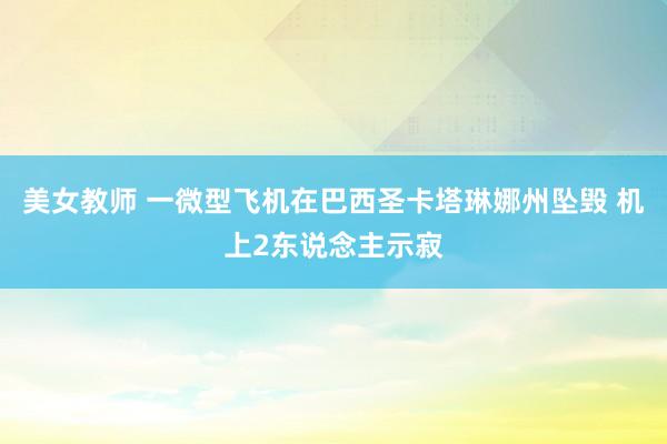 美女教师 一微型飞机在巴西圣卡塔琳娜州坠毁 机上2东说念主示寂