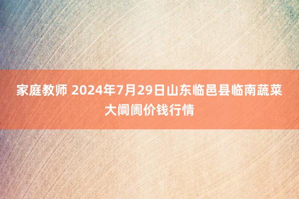 家庭教师 2024年7月29日山东临邑县临南蔬菜大阛阓价钱行情