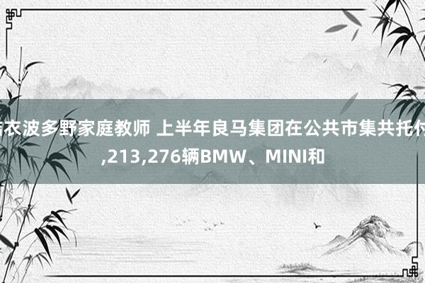 结衣波多野家庭教师 上半年良马集团在公共市集共托付1,213,276辆BMW、MINI和