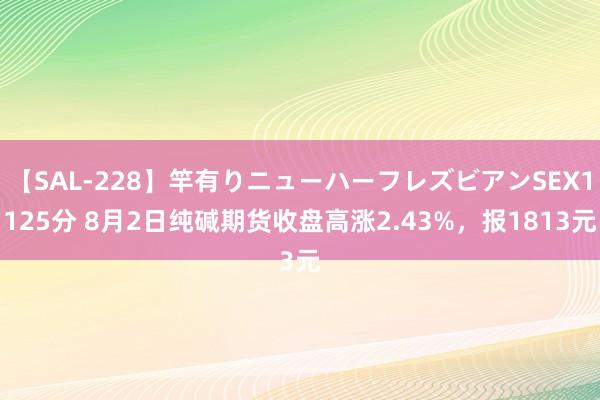 【SAL-228】竿有りニューハーフレズビアンSEX1125分 8月2日纯碱期货收盘高涨2.43%，报1813元