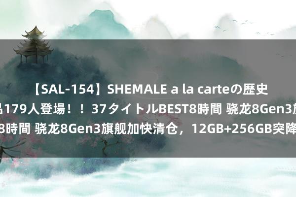 【SAL-154】SHEMALE a la carteの歴史 2 2011～2013 国内作品179人登場！！37タイトルBEST8時間 骁龙8Gen3旗舰加快清仓，12GB+256GB突降1160元