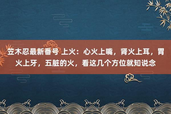 笠木忍最新番号 上火：心火上嘴，肾火上耳，胃火上牙，五脏的火，看这几个方位就知说念