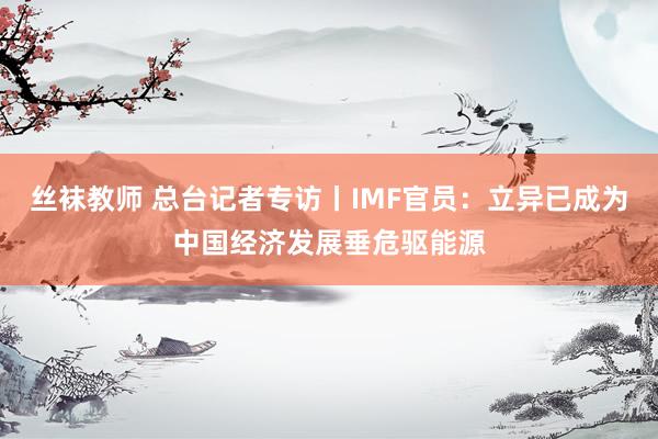 丝袜教师 总台记者专访丨IMF官员：立异已成为中国经济发展垂危驱能源