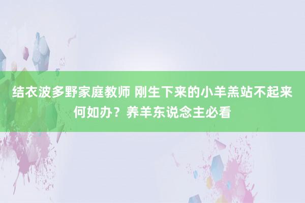 结衣波多野家庭教师 刚生下来的小羊羔站不起来何如办？养羊东说念主必看