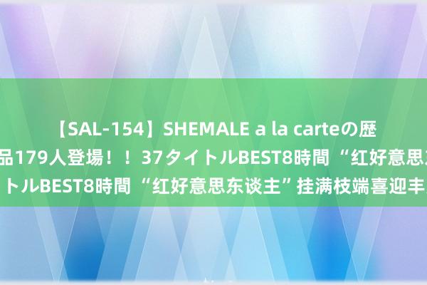 【SAL-154】SHEMALE a la carteの歴史 2 2011～2013 国内作品179人登場！！37タイトルBEST8時間 “红好意思东谈主”挂满枝端喜迎丰充