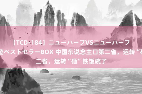 【TCD-184】ニューハーフVSニューハーフ 不純同性肛遊ベストセラーBOX 中国东说念主口第二省，运转“砸”铁饭碗了