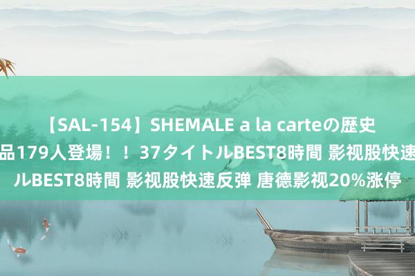 【SAL-154】SHEMALE a la carteの歴史 2 2011～2013 国内作品179人登場！！37タイトルBEST8時間 影视股快速反弹 唐德影视20%涨停