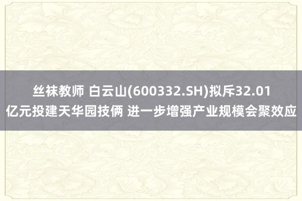 丝袜教师 白云山(600332.SH)拟斥32.01亿元投建天华园技俩 进一步增强产业规模会聚效应