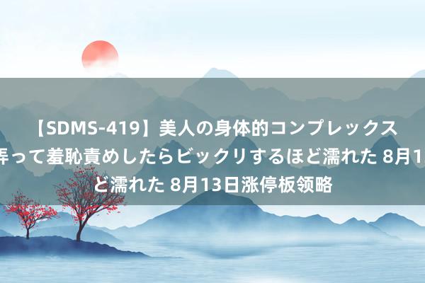 【SDMS-419】美人の身体的コンプレックスを、じっくり弄って羞恥責めしたらビックリするほど濡れた 8月13日涨停板领略