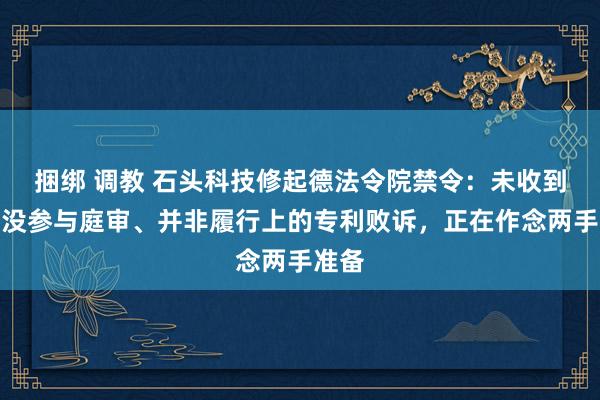 捆绑 调教 石头科技修起德法令院禁令：未收到示知没参与庭审、并非履行上的专利败诉，正在作念两手准备