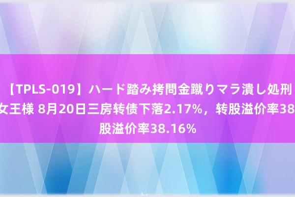 【TPLS-019】ハード踏み拷問金蹴りマラ潰し処刑 JUN女王様 8月20日三房转债下落2.17%，转股溢价率38.16%