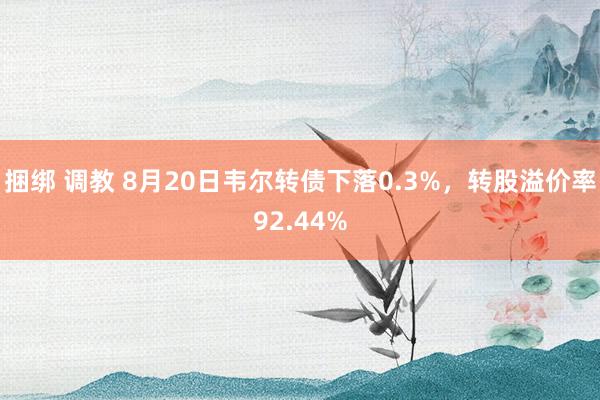 捆绑 调教 8月20日韦尔转债下落0.3%，转股溢价率92.44%