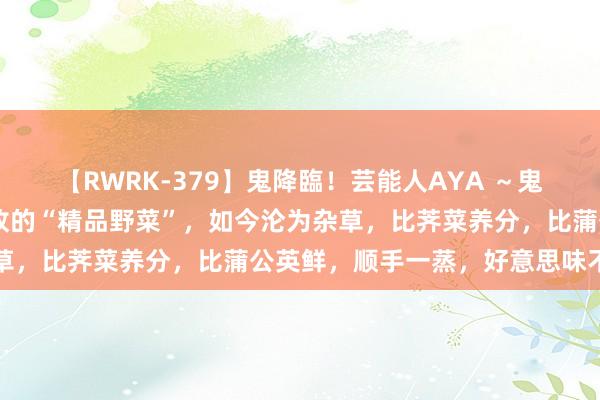 【RWRK-379】鬼降臨！芸能人AYA ～鬼シリーズ全制覇！～ 如故的“精品野菜”，如今沦为杂草，比荠菜养分，比蒲公英鲜，顺手一蒸，好意思味不上火