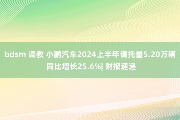 bdsm 调教 小鹏汽车2024上半年请托量5.20万辆 同比增长25.6%| 财报速递