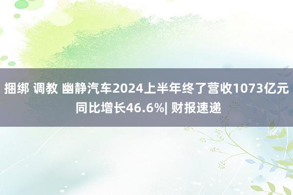 捆绑 调教 幽静汽车2024上半年终了营收1073亿元 同比增长46.6%| 财报速递