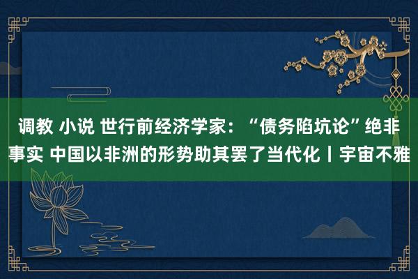 调教 小说 世行前经济学家：“债务陷坑论”绝非事实 中国以非洲的形势助其罢了当代化丨宇宙不雅