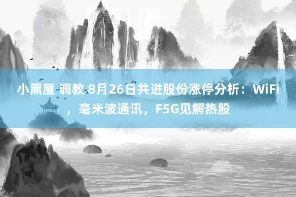 小黑屋 调教 8月26日共进股份涨停分析：WiFi，毫米波通讯，F5G见解热股