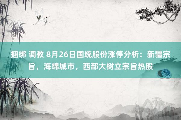 捆绑 调教 8月26日国统股份涨停分析：新疆宗旨，海绵城市，西部大树立宗旨热股