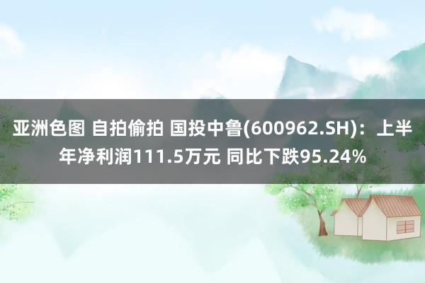 亚洲色图 自拍偷拍 国投中鲁(600962.SH)：上半年净利润111.5万元 同比下跌95.24%