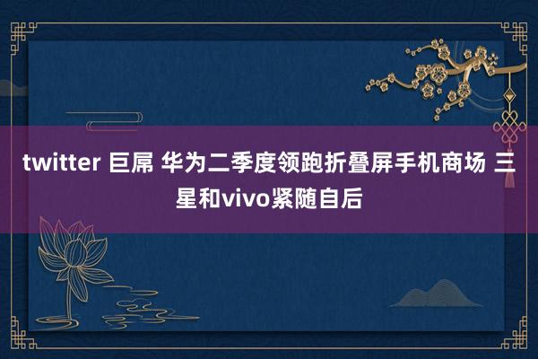 twitter 巨屌 华为二季度领跑折叠屏手机商场 三星和vivo紧随自后