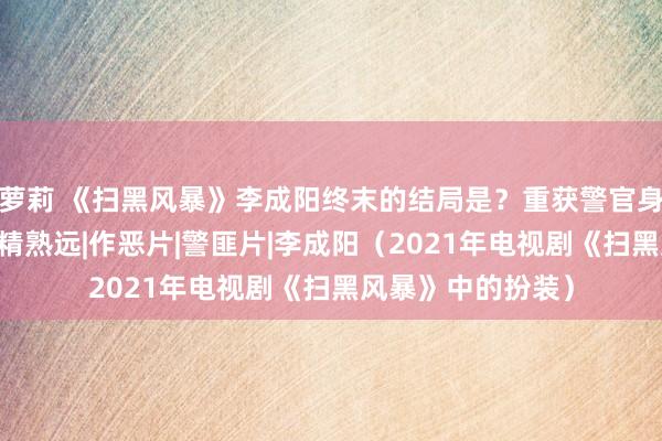 萝莉 《扫黑风暴》李成阳终末的结局是？重获警官身份，表白雇主娘|精熟远|作恶片|警匪片|李成阳（2021年电视剧《扫黑风暴》中的扮装）