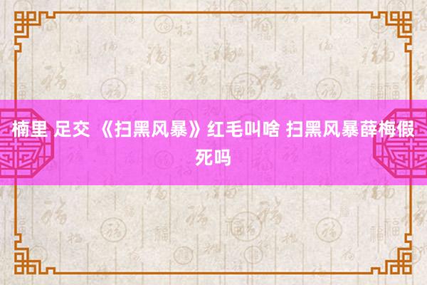 楠里 足交 《扫黑风暴》红毛叫啥 扫黑风暴薛梅假死吗