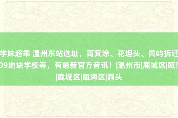 学妹超乖 温州东站选址，筲箕涂、花坦头、黄屿拆迁，南湖B09地块学校等，有最新官方音讯！|温州市|鹿城区|瓯海区|洞头