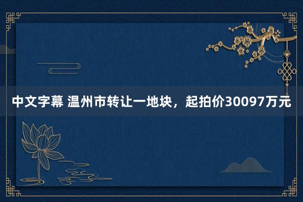 中文字幕 温州市转让一地块，起拍价30097万元