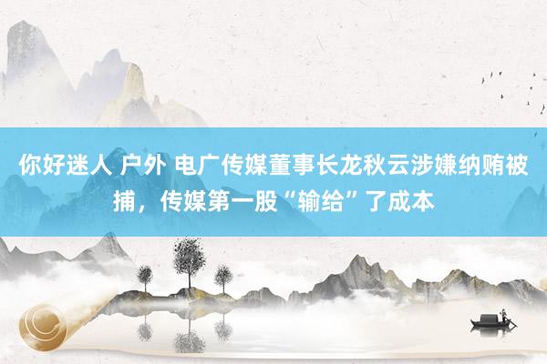 你好迷人 户外 电广传媒董事长龙秋云涉嫌纳贿被捕，传媒第一股“输给”了成本