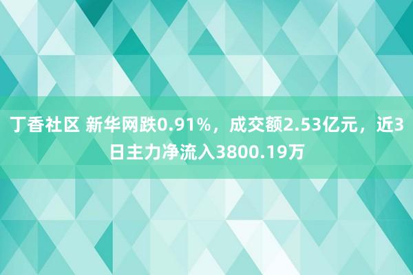 丁香社区 新华网跌0.91%，成交额2.53亿元，近3日主力净流入3800.19万