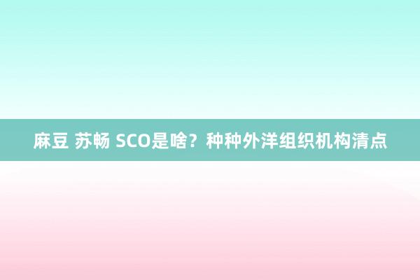 麻豆 苏畅 SCO是啥？种种外洋组织机构清点